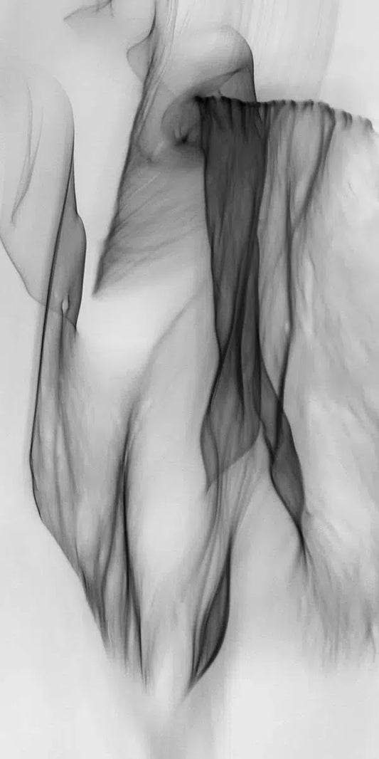 Light Imitating Art® :: Sheer Delight, by Gillian Lindsay-PurePhoto