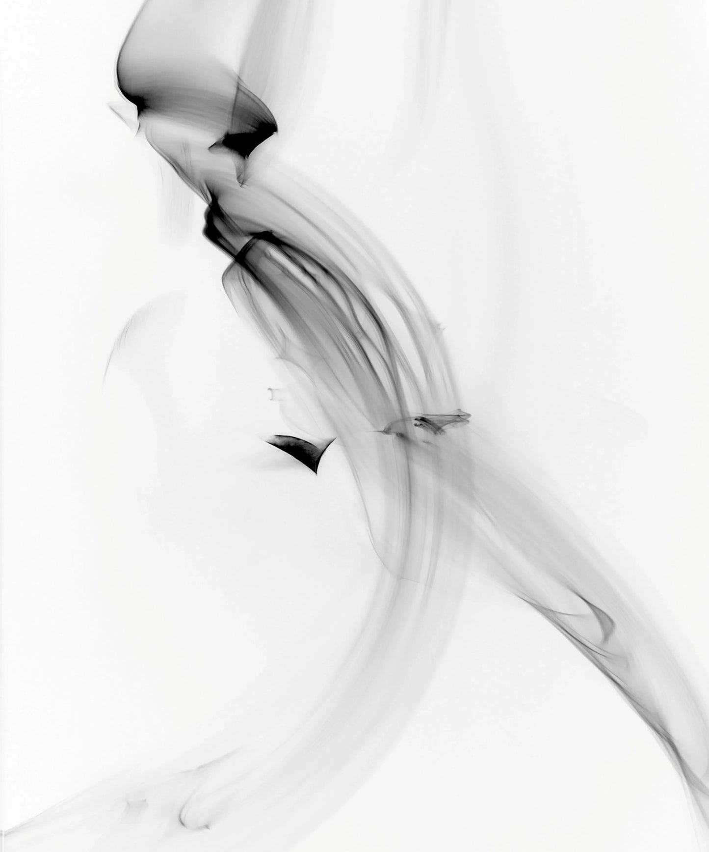 Light Imitating Art® :: Tail Wind, by Gillian Lindsay-PurePhoto