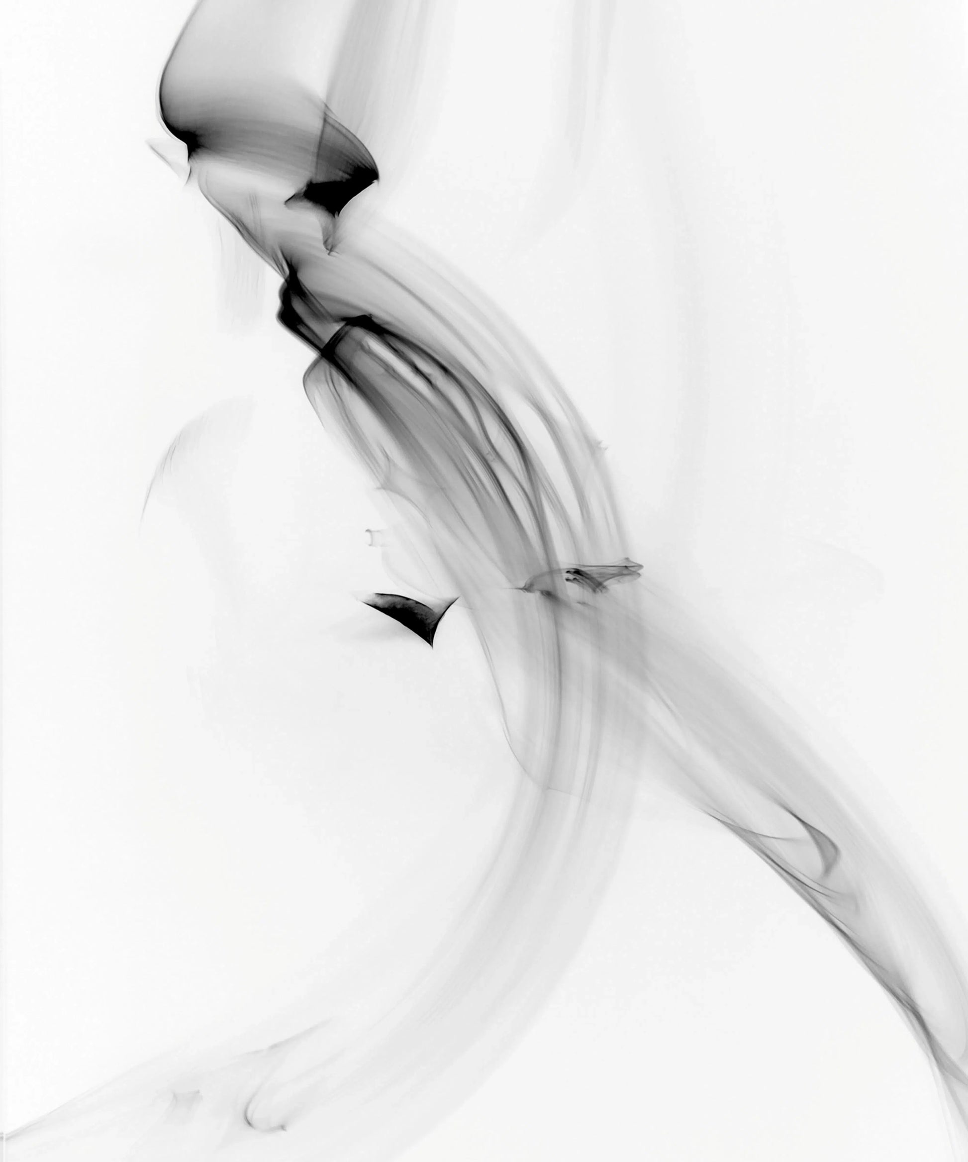 Light Imitating Art® :: Tail Wind, by Gillian Lindsay-PurePhoto