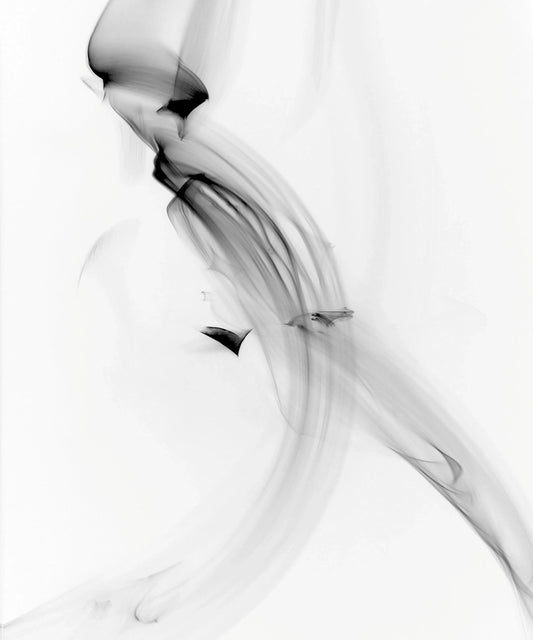 Light Imitating Art® :: Tail Wind, by Gillian Lindsay-PurePhoto