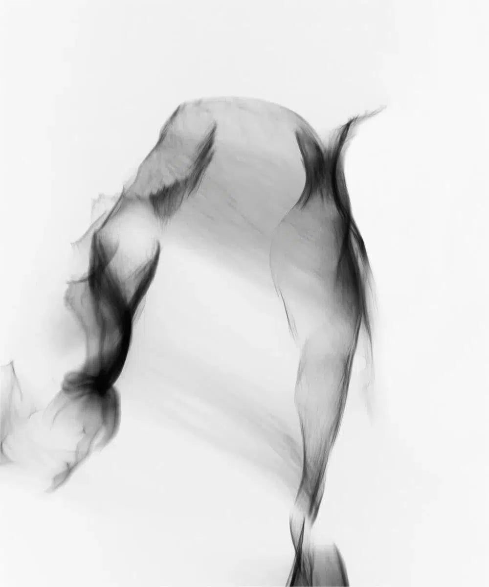 Light Imitating Art® :: Veil of Light, by Gillian Lindsay-PurePhoto