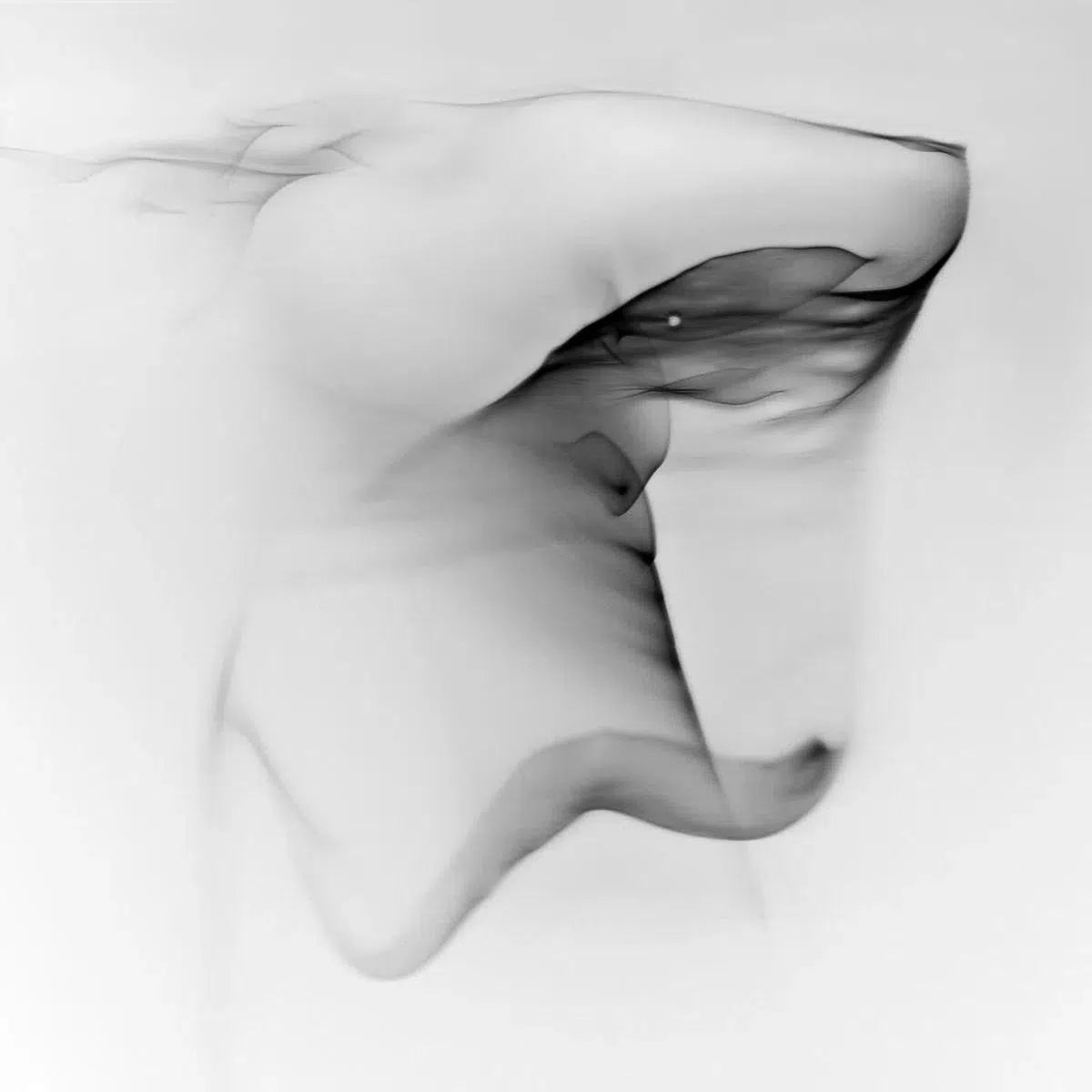 Light Imitating Art® :: Wild Light, by Gillian Lindsay-PurePhoto