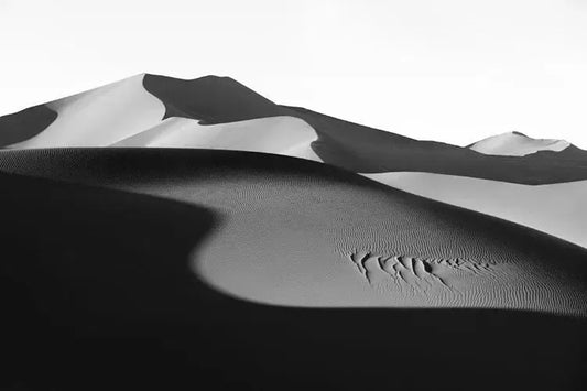 Light in Profile, by Drew Doggett-PurePhoto
