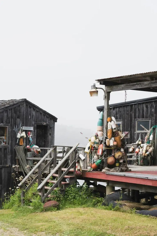 Lobster Shack, by Alicia Cho-PurePhoto