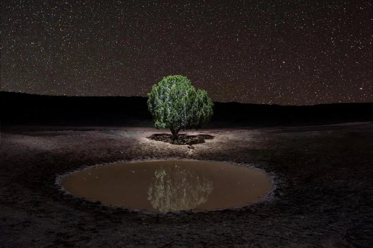 Lone Tree Pond, by Garret Suhrie-PurePhoto