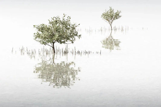 Looking Back, by Anthony Lamb-PurePhoto