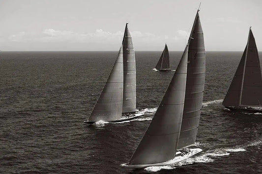 Majesty at Sea, by Drew Doggett-PurePhoto