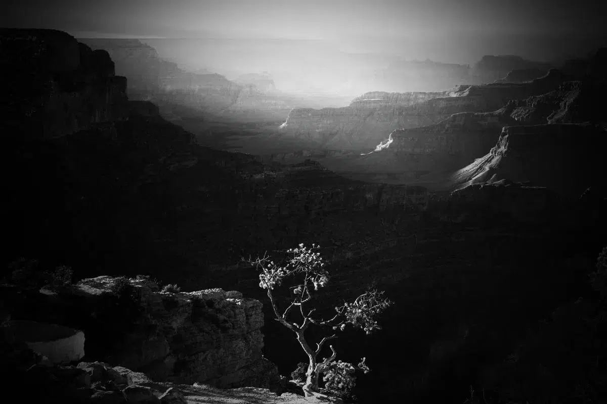 Mather Point View, by Massimo Margagnoni-PurePhoto
