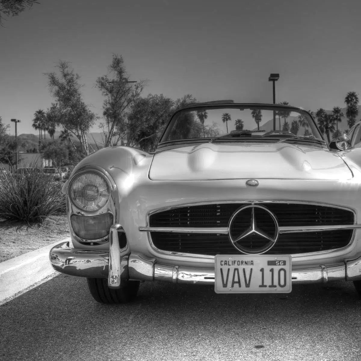 Mercedes Dream, by Kelly & Fred-PurePhoto
