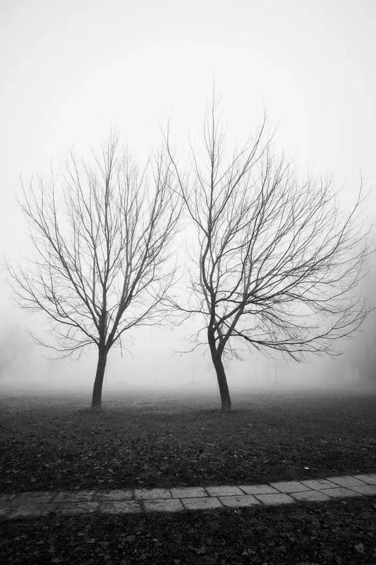 Milano fog, by Marco Virgone-PurePhoto
