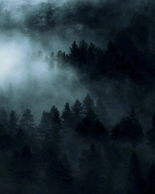 Moody Forest – Norway, by Jan Erik Waider-PurePhoto