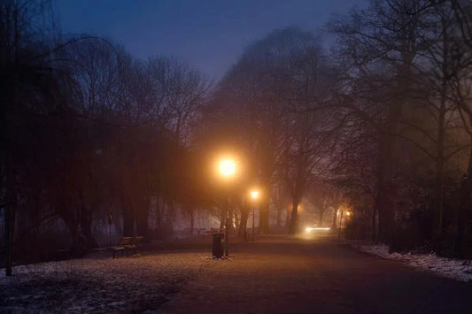 Morning Walk, by Mitja Schneehage-PurePhoto