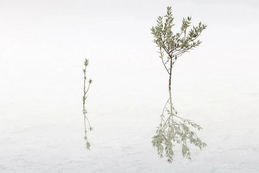 Mother & Child, by Anthony Lamb-PurePhoto