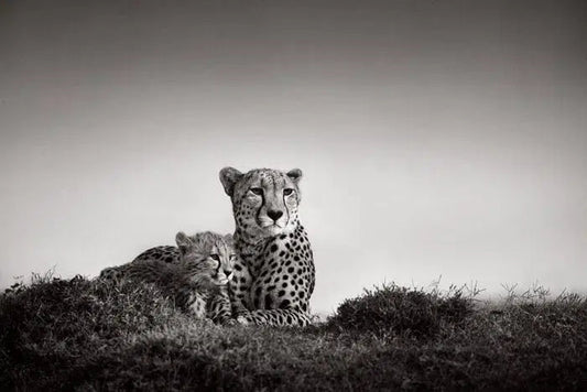 Mother's Grace, by Drew Doggett-PurePhoto