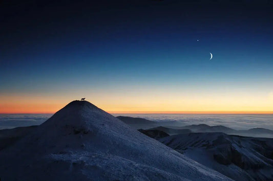 Mountain Goat, by Alex Axon-PurePhoto