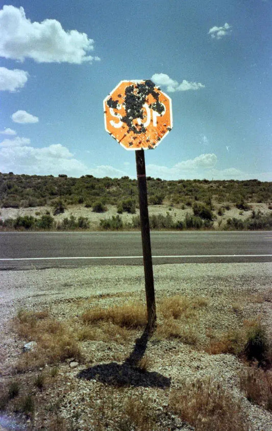 Nevada Stop, by Joel Lavold-PurePhoto