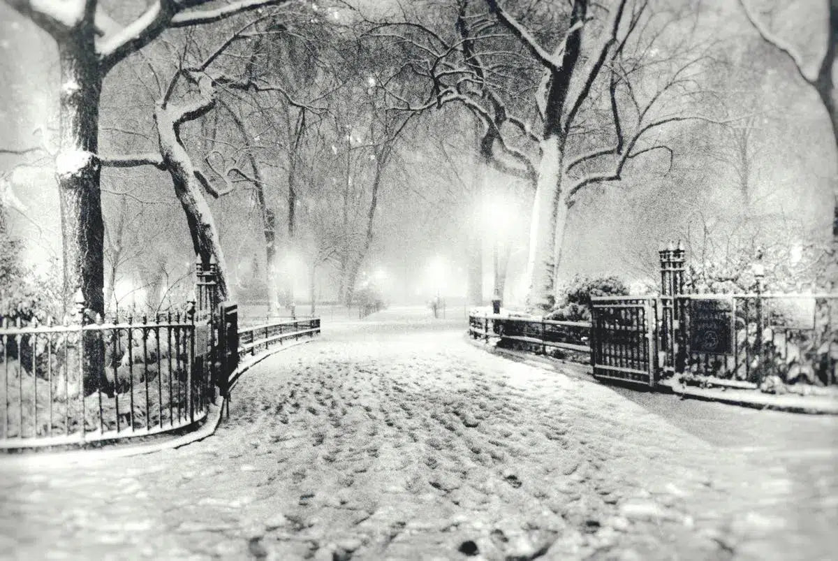 New York City Winter - Snow - Night in Madison Square Park, by Vivienne Gucwa-PurePhoto