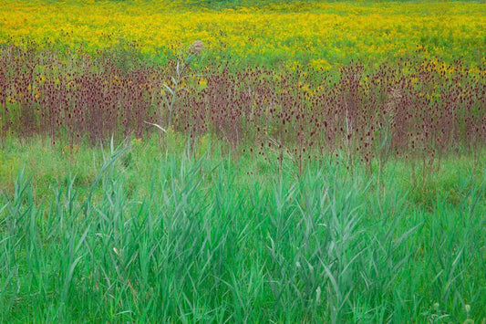 New York Landscape II, by Michael Filonow-PurePhoto