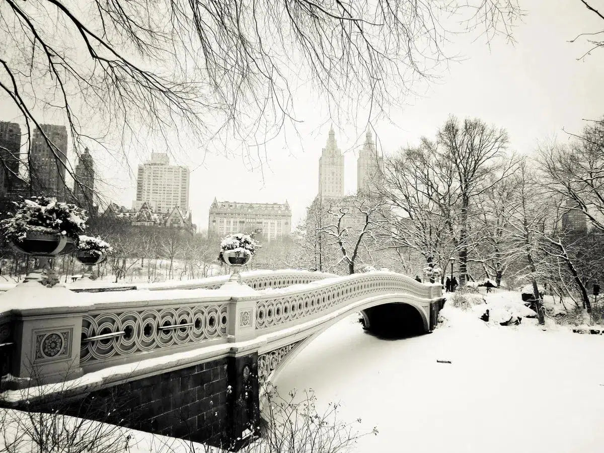 New York Winter - Central Park Snow, by Vivienne Gucwa-PurePhoto