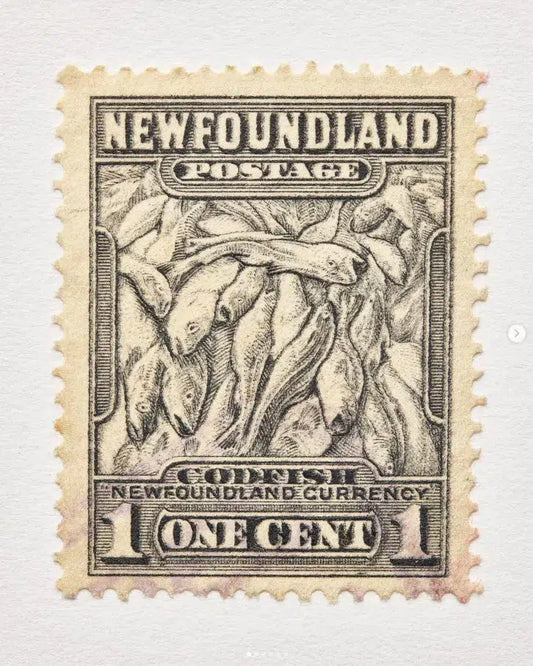 Newfoundland Stamp, 1 Cent, by Peter Andrew-PurePhoto