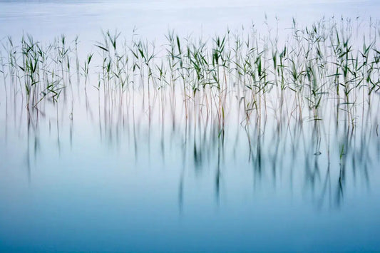 Night Mood, by Ari Salmela-PurePhoto