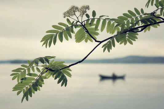Night Rower, by Ari Salmela-PurePhoto