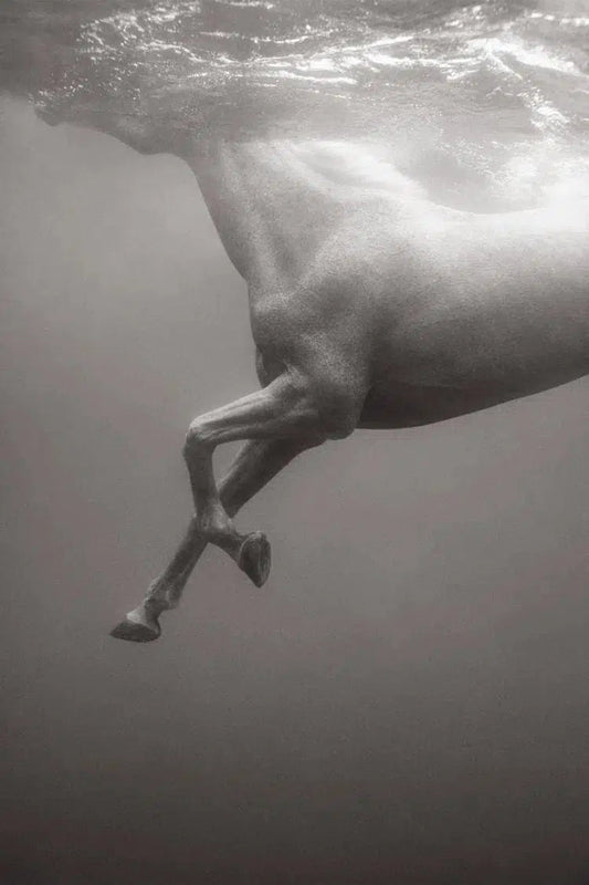 Nirvana, by Drew Doggett-PurePhoto