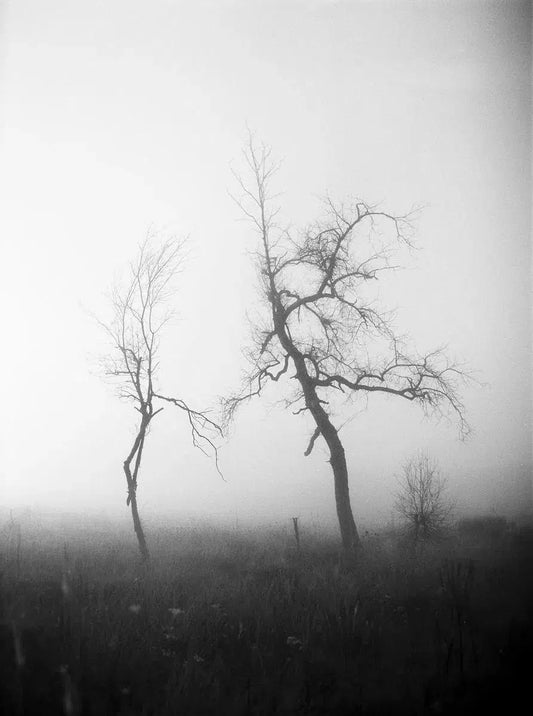No_title, by Andrea Buzzichelli-PurePhoto