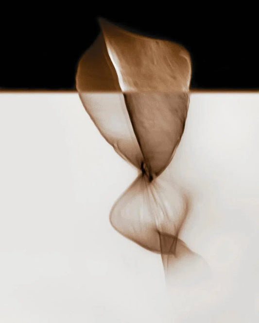 Noir Blanc 3, by Gillian Lindsay-PurePhoto