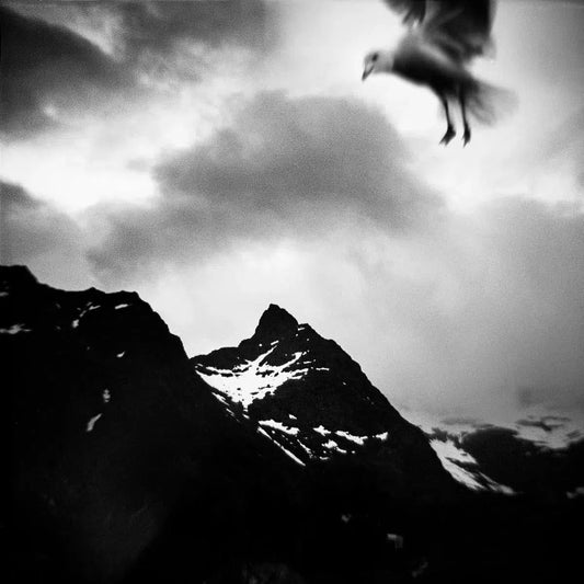 Norway #1, by Andrea Buzzichelli-PurePhoto