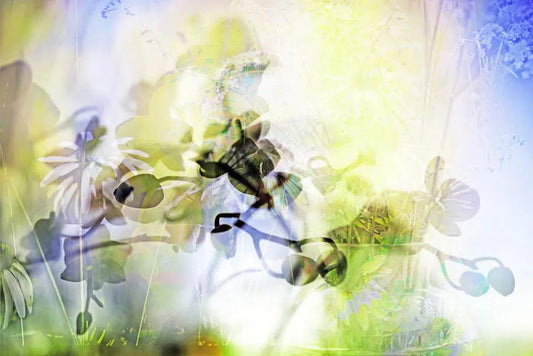 ORCHID 5, by Eiwy Ahlund-PurePhoto