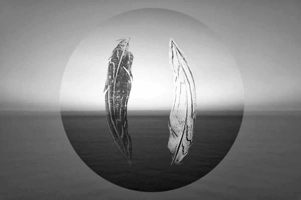 Ocean Feather, by Trinette + Chris-PurePhoto