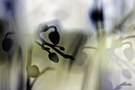 Orchid 3, by Eiwy Ahlund-PurePhoto