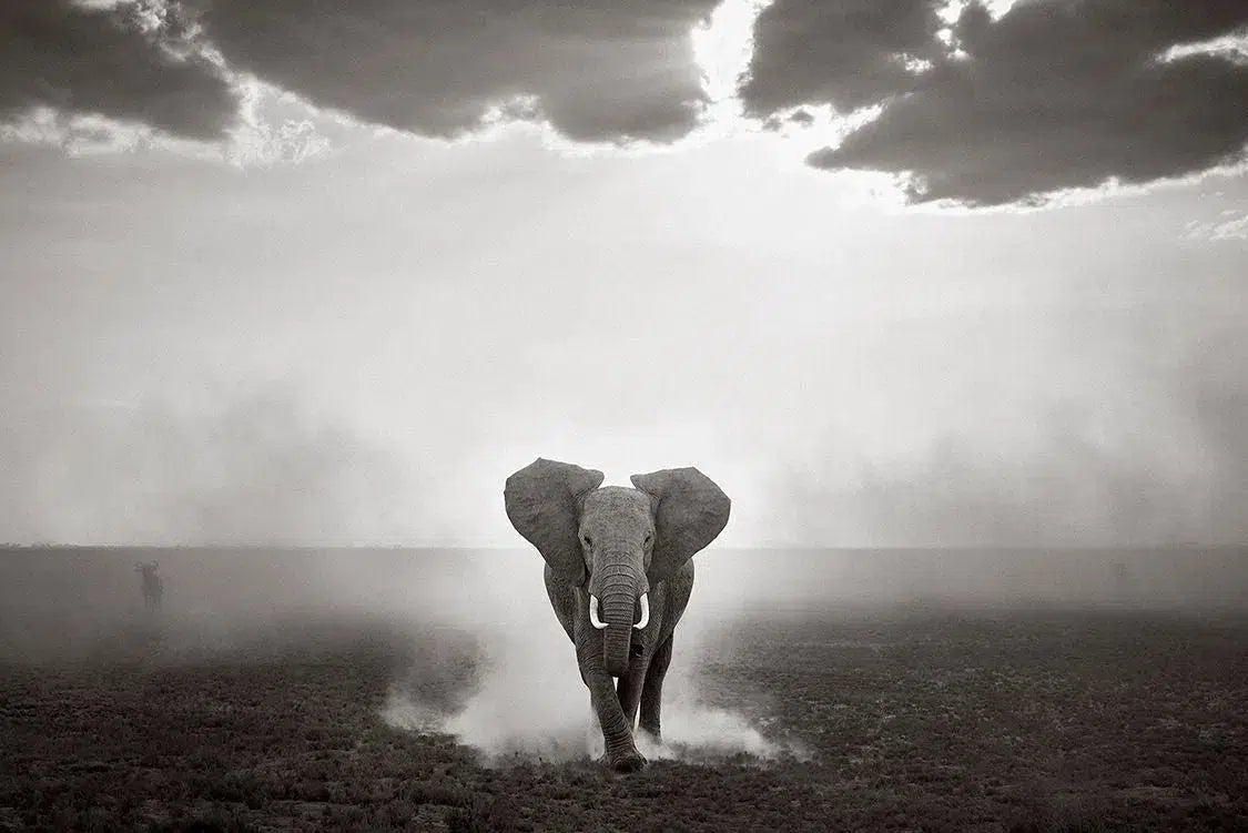 Out of the Dust, by Drew Doggett-PurePhoto