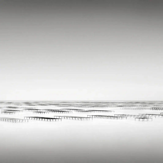Oyster Beds, Thau, France, by Jonathan Chritchley-PurePhoto