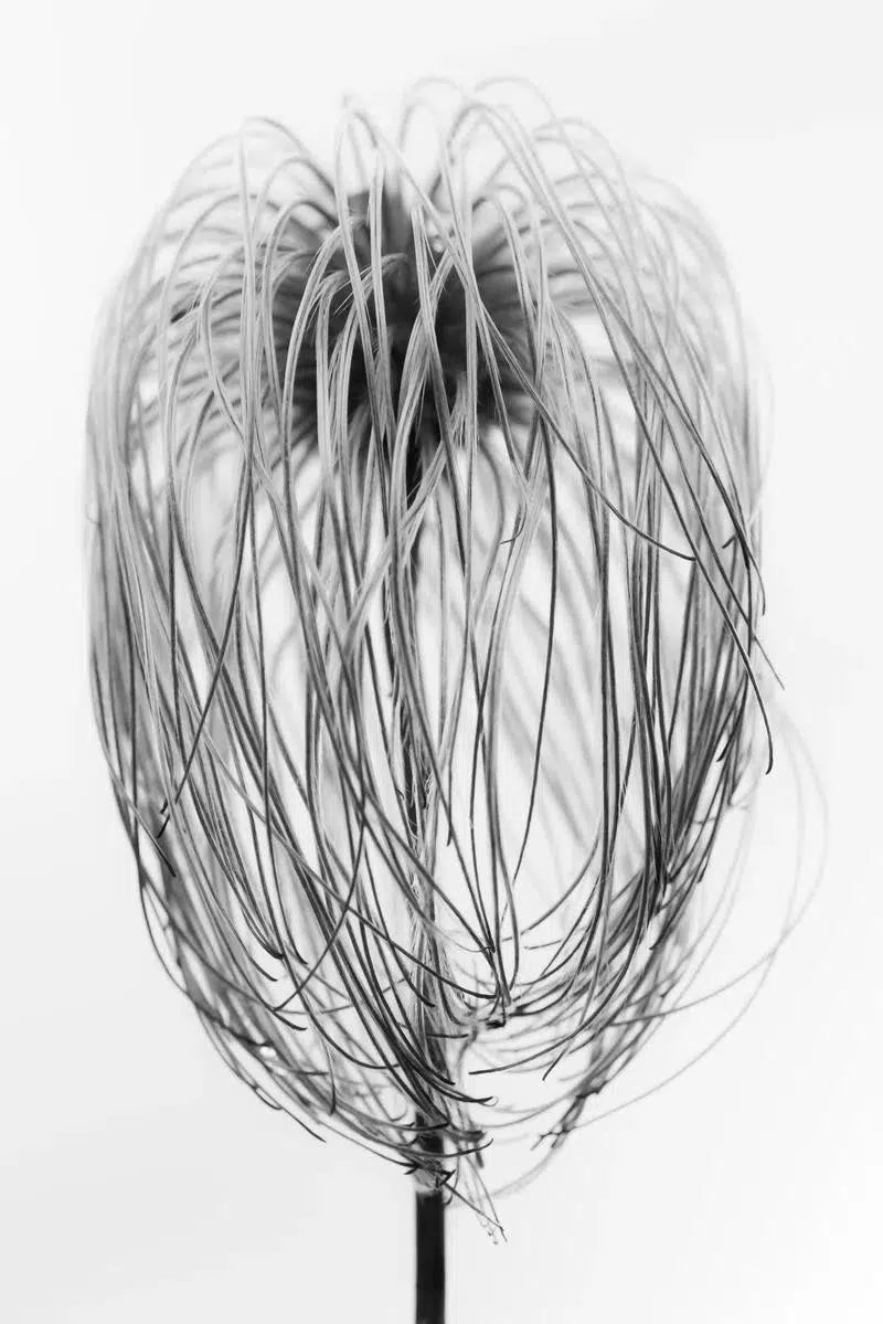 Page, by Mats Gustafsson-PurePhoto