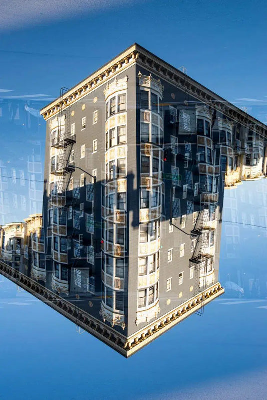 Painted Ladies #29, by Robin Vandenabeele-PurePhoto