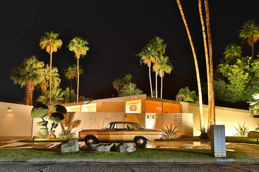 Palm Springs Midnight, by Kelly & Fred-PurePhoto