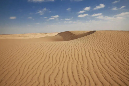 Paracus 1, by Michael Filonow-PurePhoto