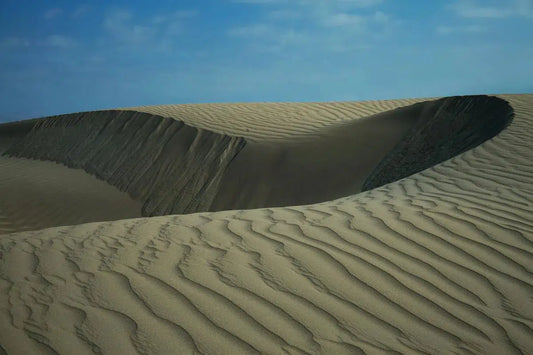 Paracus 2, by Michael Filonow-PurePhoto