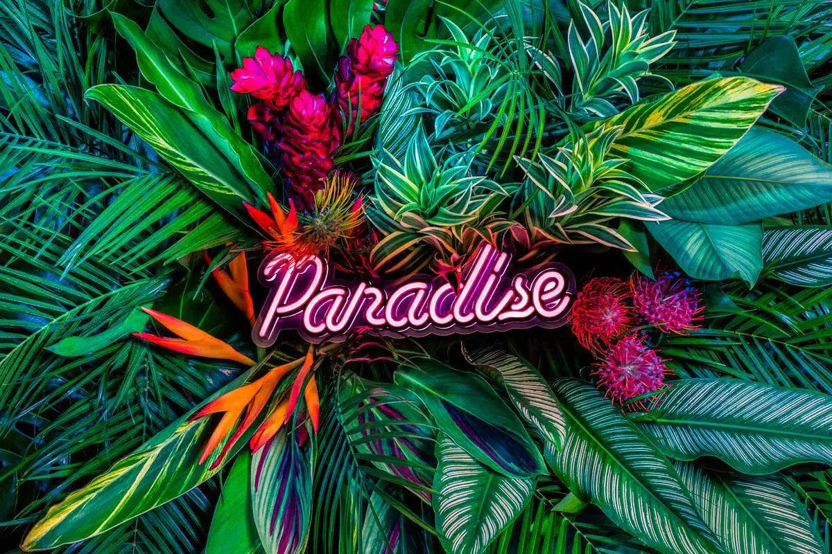 Paradise, by Javiera Estrada-PurePhoto