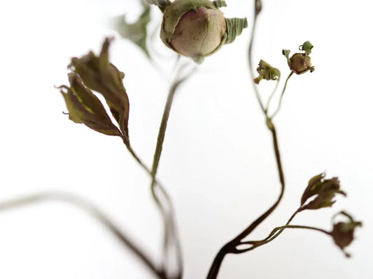 Parity, by Nicole Katano-PurePhoto