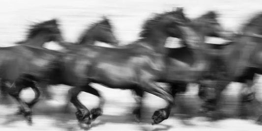 Passing By, by Carys Jones-PurePhoto