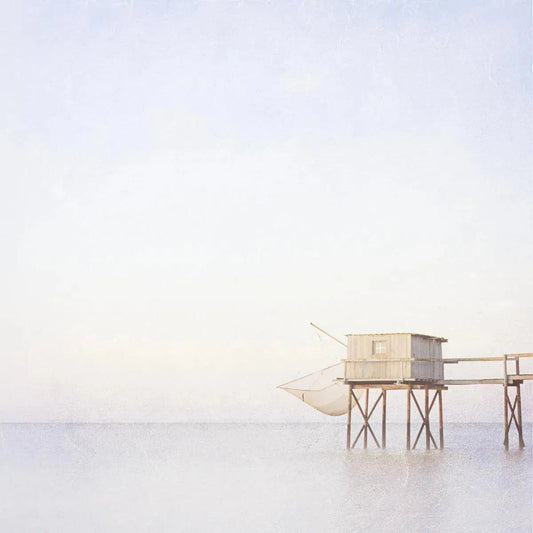 Pastel Carrelet, by Maggy Morrissey-PurePhoto