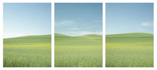 Pastel Palouse Triptych, by Dale Hedden-PurePhoto