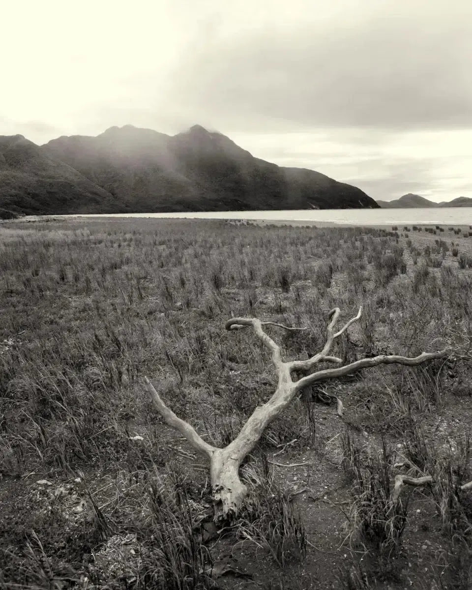 Patagonia 6, by Michael Filonow-PurePhoto