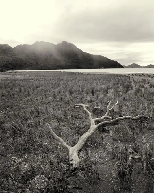 Patagonia 6, by Michael Filonow-PurePhoto