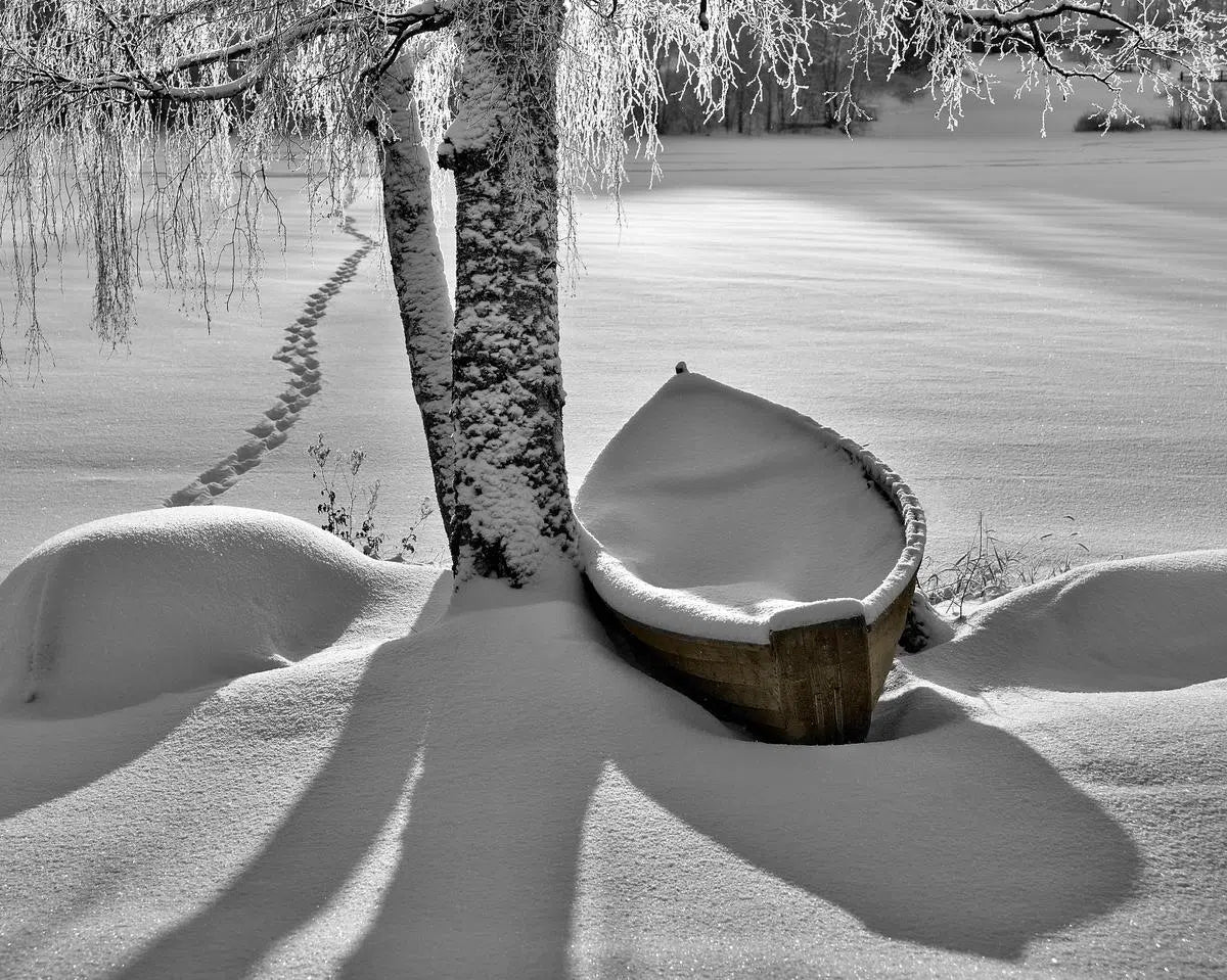 Path and Snowy Rowboat, by Ari Salmela-PurePhoto