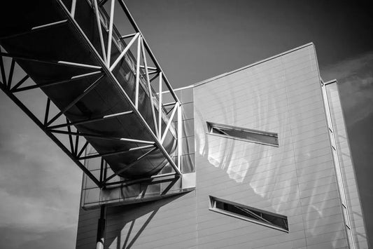 Pedestrian Bridge, by Ari Salmela-PurePhoto