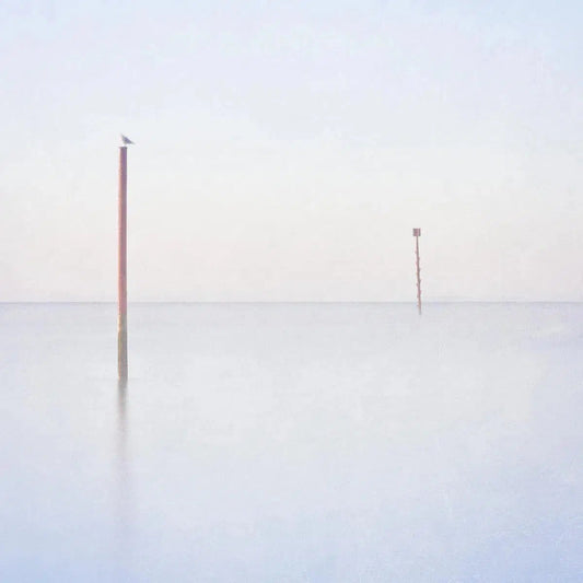 Perch, by Maggy Morrissey-PurePhoto